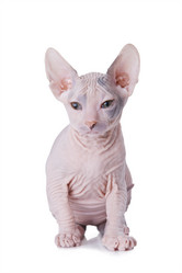 Similar image 986919