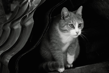 Similar image 986972