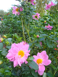 Similar image 986976