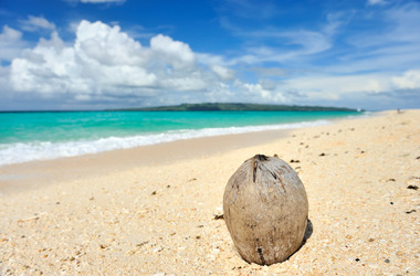 Similar image 987006