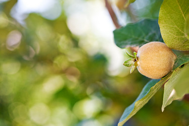 Similar image 987009