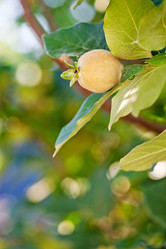 Similar image 987013