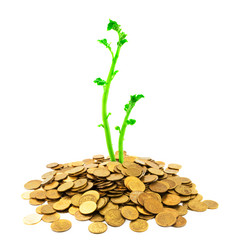 Similar image 987015