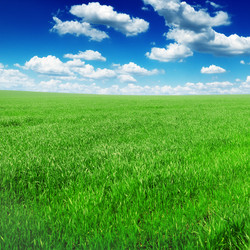 Similar image 987063