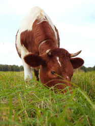 Similar image 987097