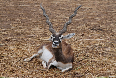 Similar image 987160