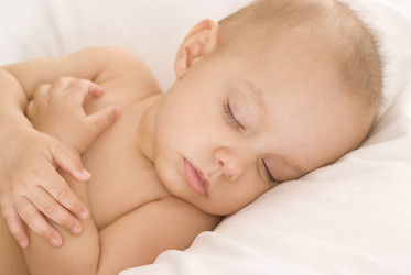 Similar image 987306