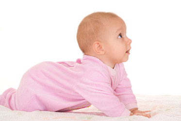 Similar image 987320