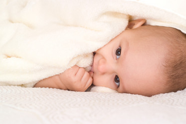 Similar image 987321