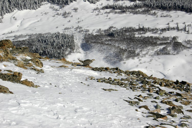 Similar image 987469