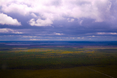 Similar image 987559