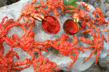 Similar image 987639