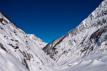 Similar image 987749