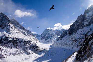 Similar image 987754