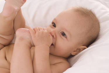 Similar image 987815