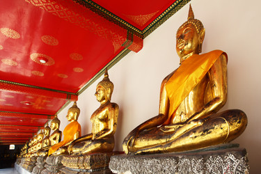 Similar image 987843