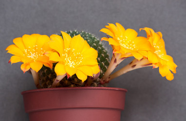 Similar image 987894