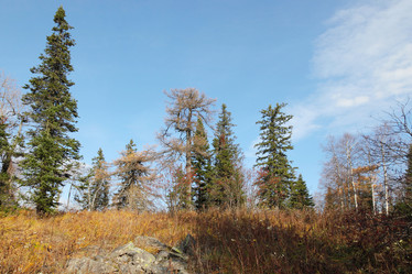 Similar image 988023