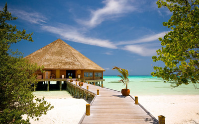 Similar image 988125