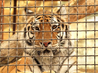 Similar image 988155