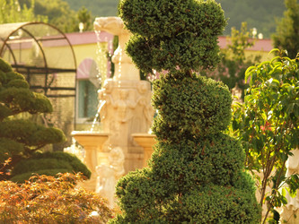 Similar image 988169