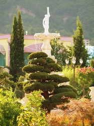 Similar image 988192