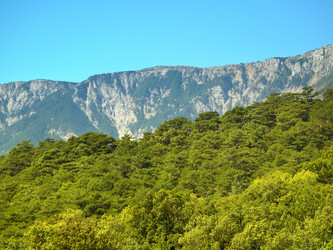 Similar image 988204