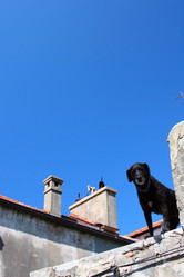 Similar image 988207