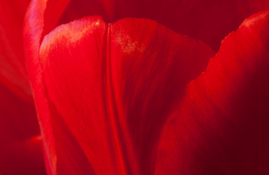 Similar image 988246