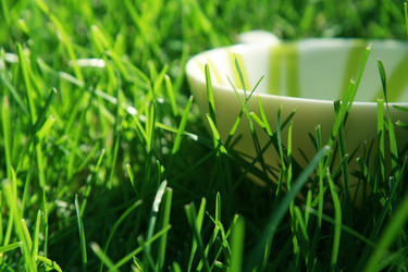 Similar image 988299