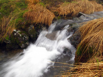 Similar image 988389