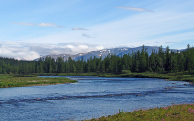 Similar image 988398