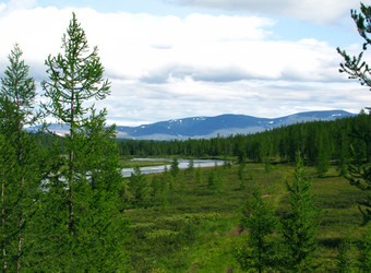 Similar image 988399