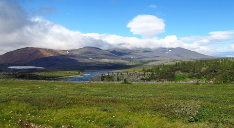 Similar image 988400