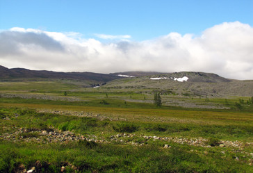 Similar image 988401