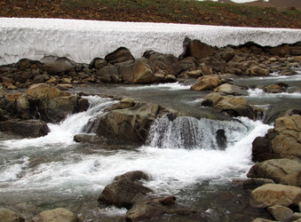 Similar image 988403