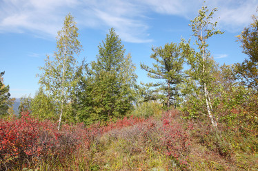 Similar image 988416