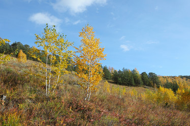 Similar image 988417