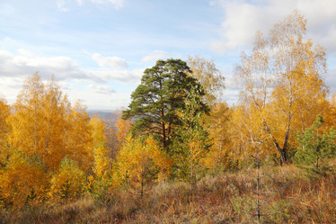 Similar image 988418