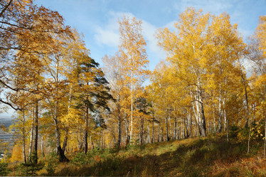 Similar image 988419