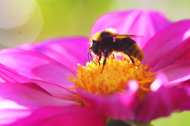 Similar image 988456