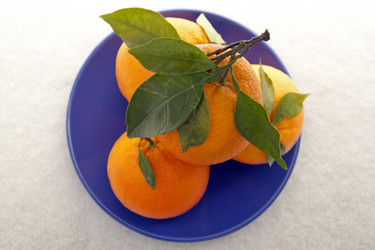 Similar image 988457