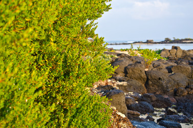 Similar image 988483