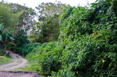 Similar image 988485