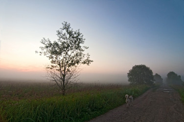 Similar image 988490