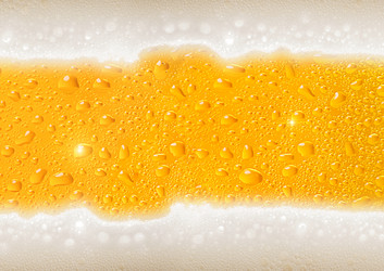 Similar image 988621