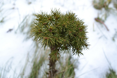 Similar image 988628