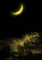 Similar image 988678