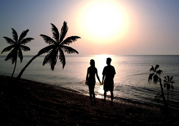 Similar image 988769