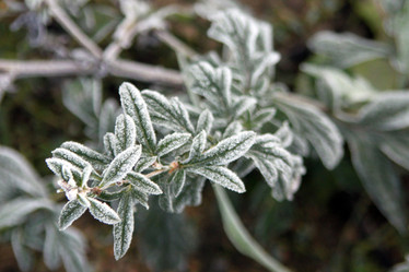 Similar image 988813